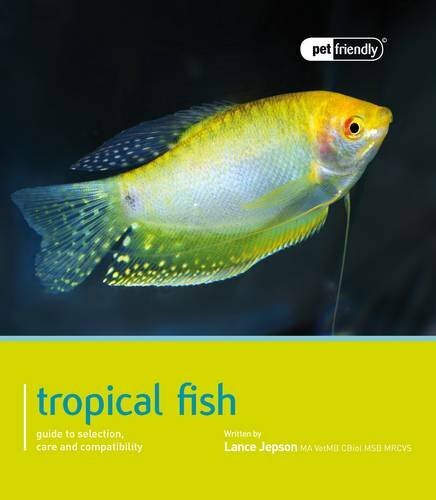 Tropical fish pet friendly - fish,
